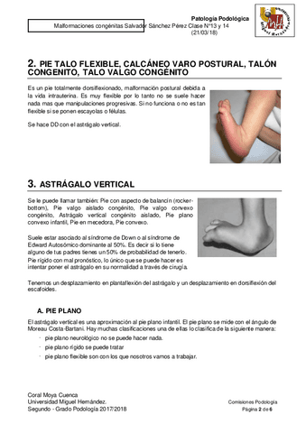 TEMAS-PODO-PATO-11.pdf