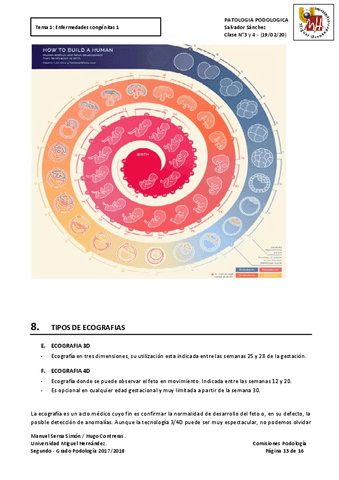 TEMAS-PODO-PATO-2.pdf