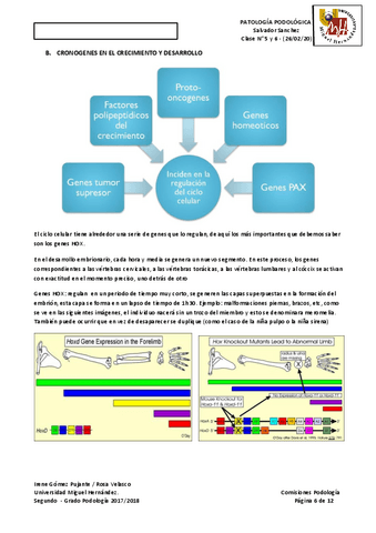 TEMAS-PODO-PATO-4.pdf