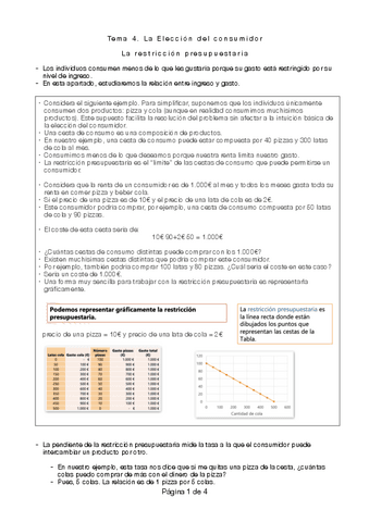 Tema-4.-La-Eleccion-del-consumidor.pdf