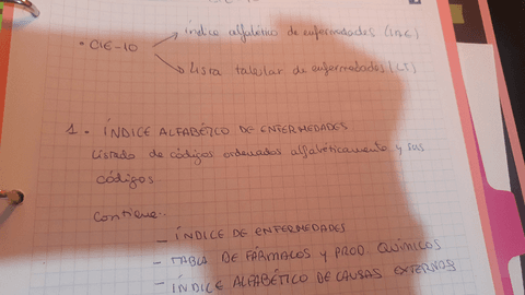 NOCIONES-BASICAS-DE-CODIFICACION.pdf