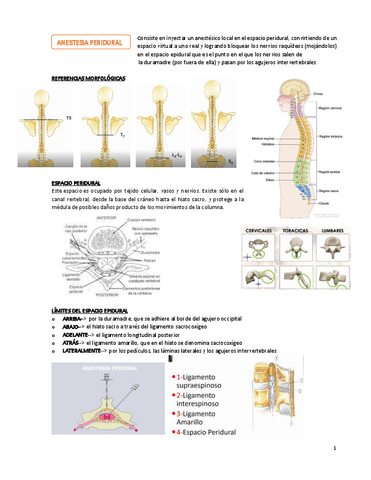 BLOQUEOS.pdf