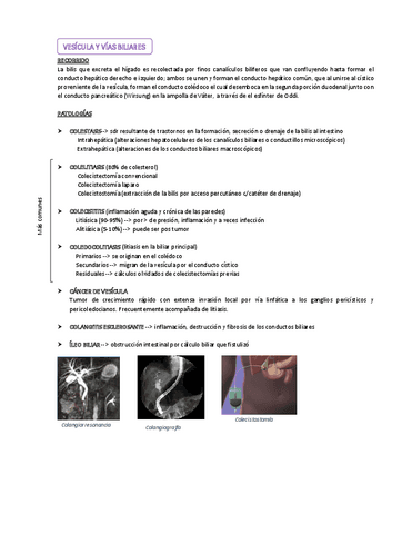 VESICULA-Y-VIAS-BILIARES.pdf