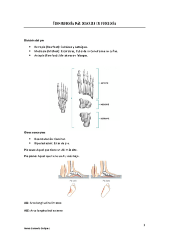 Terminologia-Raquis-columna-coxofemoral-y-rodilla.pdf