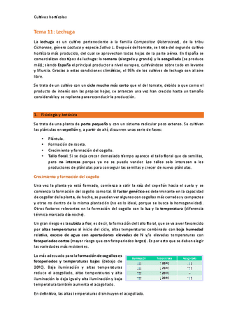 Tema-11-Lechuga.pdf