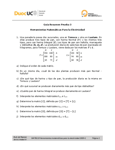 GUIARESUMENPRUEBA3MAT6110.pdf