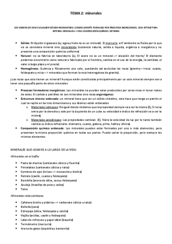 TEMA-2.pdf