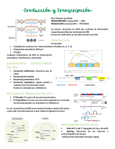 resumen-biocel.pdf