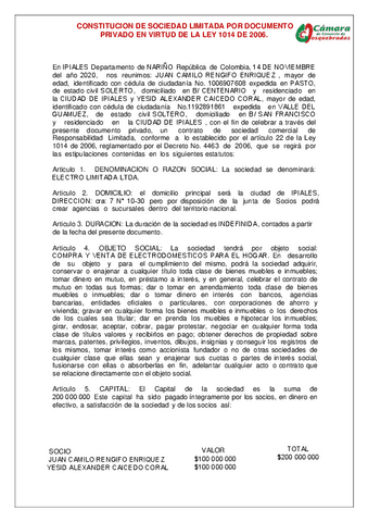 ACTA-DE-CONSTITUCION.pdf