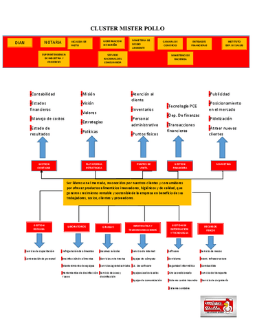 CLUSTER-MISTER-POLLO.pdf