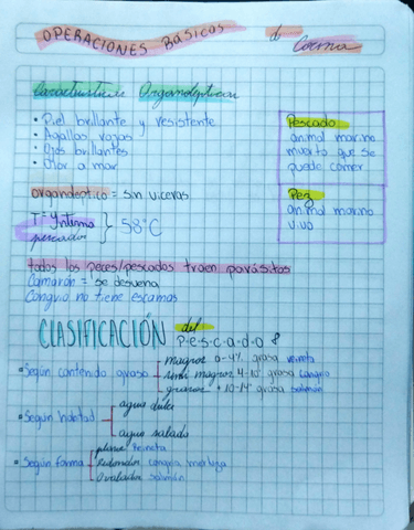 Clase-8-Cocina-Taller-de-pescados.pdf