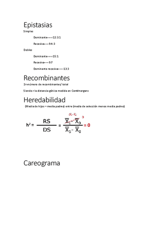 lo-minimo-para-aprobar-practicas.pdf