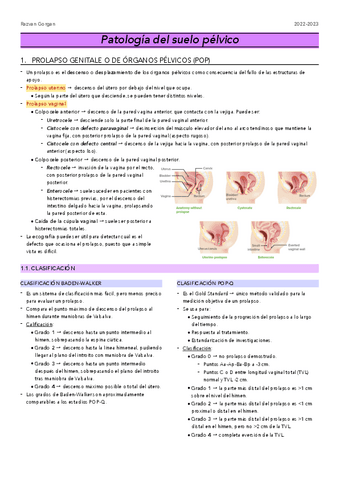 G8.-Patologia-suelo-pelvico.pdf