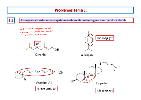TEMA-1-PROBLEMES-RESOLTS.pdf