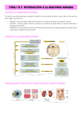 TEMA-1-2-3-4-y-5-GENERALIDADES-HUESOS-MUSCULOS-Y-ARTICULACIONES-PLANOS.pdf