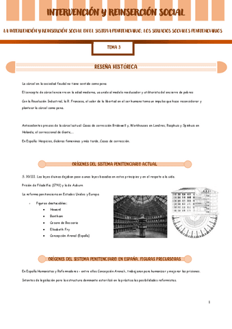 TEMA-3-REINSERCION.pdf