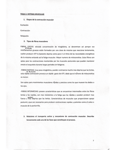 Examen-Tema-2.pdf