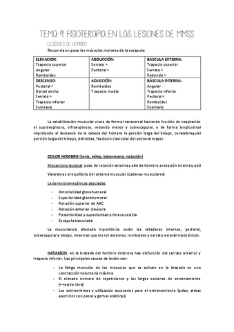 Tema-9-Fisiot-en-lesiones-MMSS.pdf