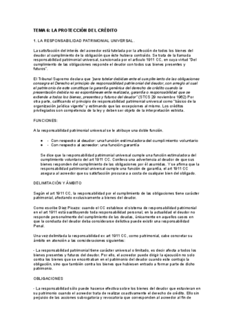TEMA-6.-PROTECCION-DEL-CREDITOdocx.docx.pdf