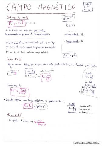 Resumen-campo-magnetico.pdf