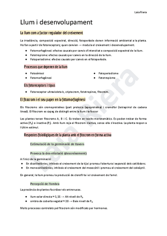 11.-Llum-i-desenvolupament.pdf