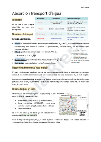 2.-Absorcio-i-transport-daigua.pdf