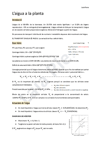 1.-Laigua-a-la-planta.pdf