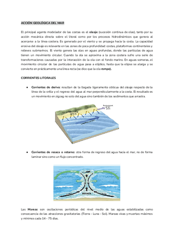 Acción geológica del mar.pdf