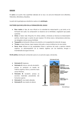 Suelos.pdf