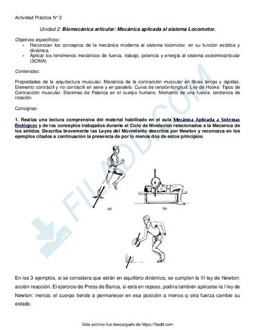 Actividad-Practica-2FBEKyF-2022-Benja-1.pdf