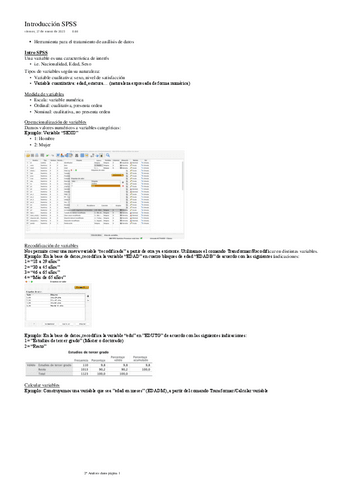 Introduccion-SPSS.pdf