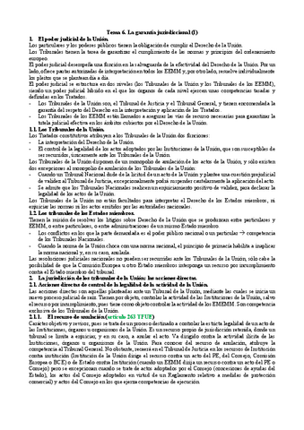 Tema-6.-La-garantia-jurisdiccional-I.pdf