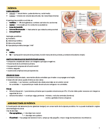 PROSTATA.pdf