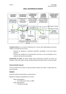 TEMA 4.pdf
