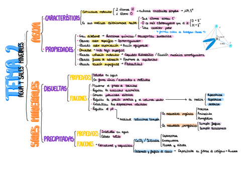 Esquema-Agua-Y-Sales-Minerales.pdf