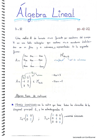 1º_Matemáticas_Álgebra Lineal.pdf