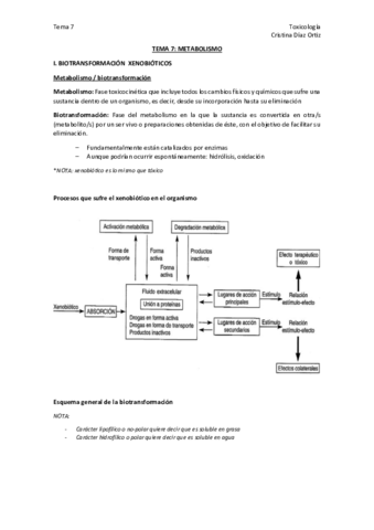 TEMA 7.pdf