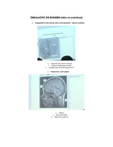 SIMULACRO-DE-EXAMEN.pdf