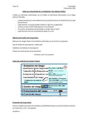 TEMA 10.pdf