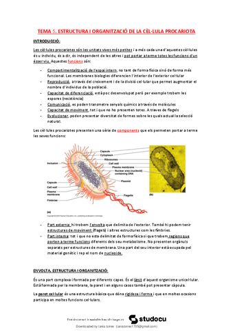 T5-Estructura-i-organitzacio-de-la-cellula-procariota.pdf