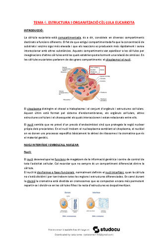 T6-Estructura-i-organitzacio-cellula-eucariota.pdf