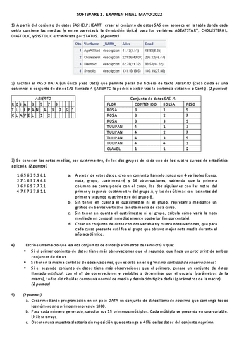 Examen Ordinaria SAS 2022.pdf