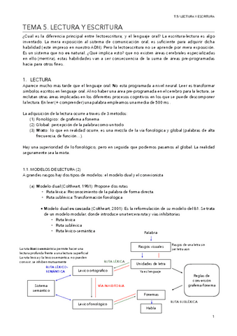 T.5-LECTURA-Y-ESCRITURA.pdf
