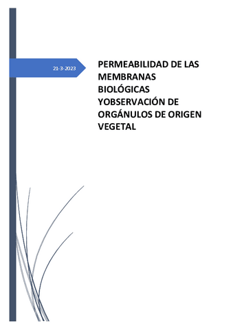 PRACTICA-3.pdf