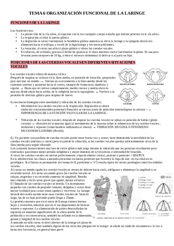 TEMA-6-MODULO-III.pdf