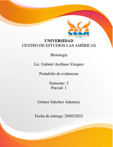 Portafolio-de-evidencias.pdf