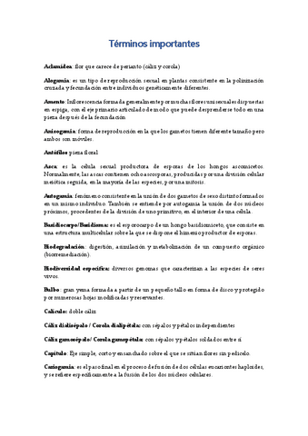 Terminos-importantes.pdf