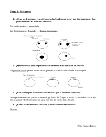 Preguntas 9.pdf