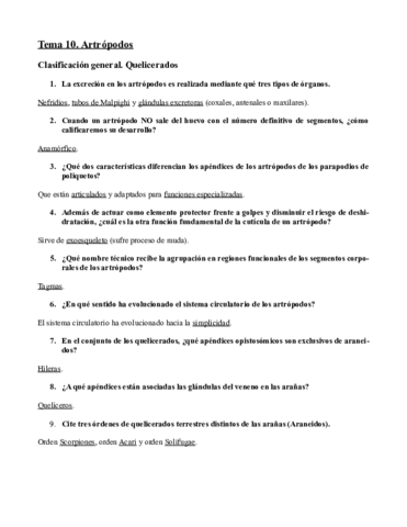 Preguntas 10.pdf