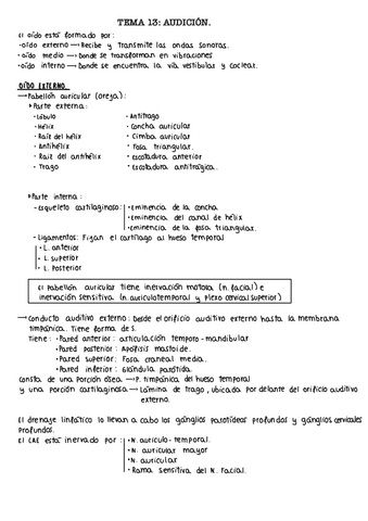 Tema-13.-Audicion.pdf